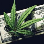 The New Fuss About Marijuana Stocks