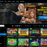 A knowledgeable Bitcoin Casinos And you can Playing Websites